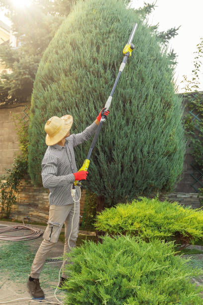 Best Seasonal Cleanup (Spring/Fall)  in Lmyra, PA